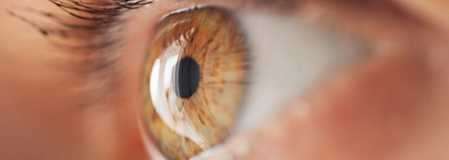 injection-intravitreenne-oeil-clinique-de-la-vue Injection intra-vitréenne pour traiter la DMLA et les pathologies rétiniennes